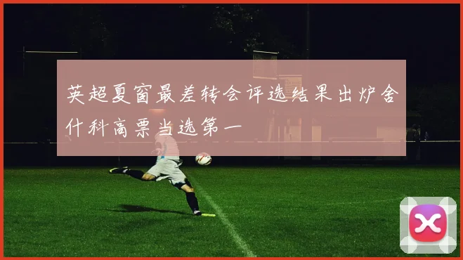 英超夏窗最差转会评选结果出炉舍什科高票当选第一
