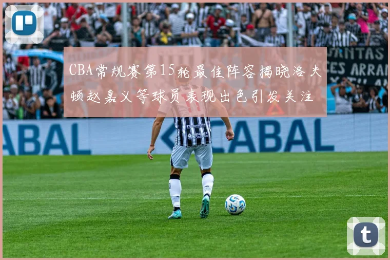 CBA常规赛第15轮最佳阵容揭晓洛夫顿赵嘉义等球员表现出色引发关注
