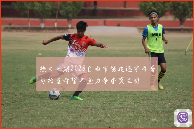 热火计划2028自由市场追逐字母哥与约基奇暂不全力争夺莫兰特