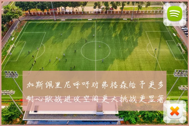 加斯佩里尼呼吁对弗格森给予更多耐心欧战进攻空间更大挑战更显著