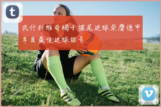 武什科维奇蝎子摆尾进球荣膺德甲年度最佳进球称号