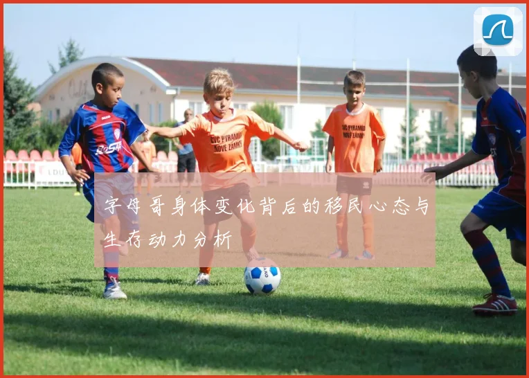 字母哥身体变化背后的移民心态与生存动力分析