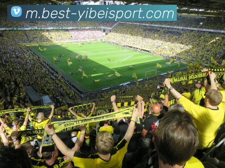 易倍体育APP 高清赛事图